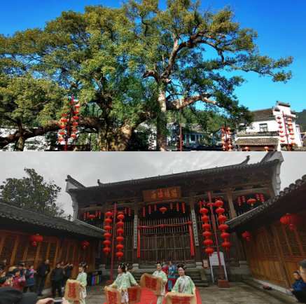 1710137017495611.png 圖片3.png